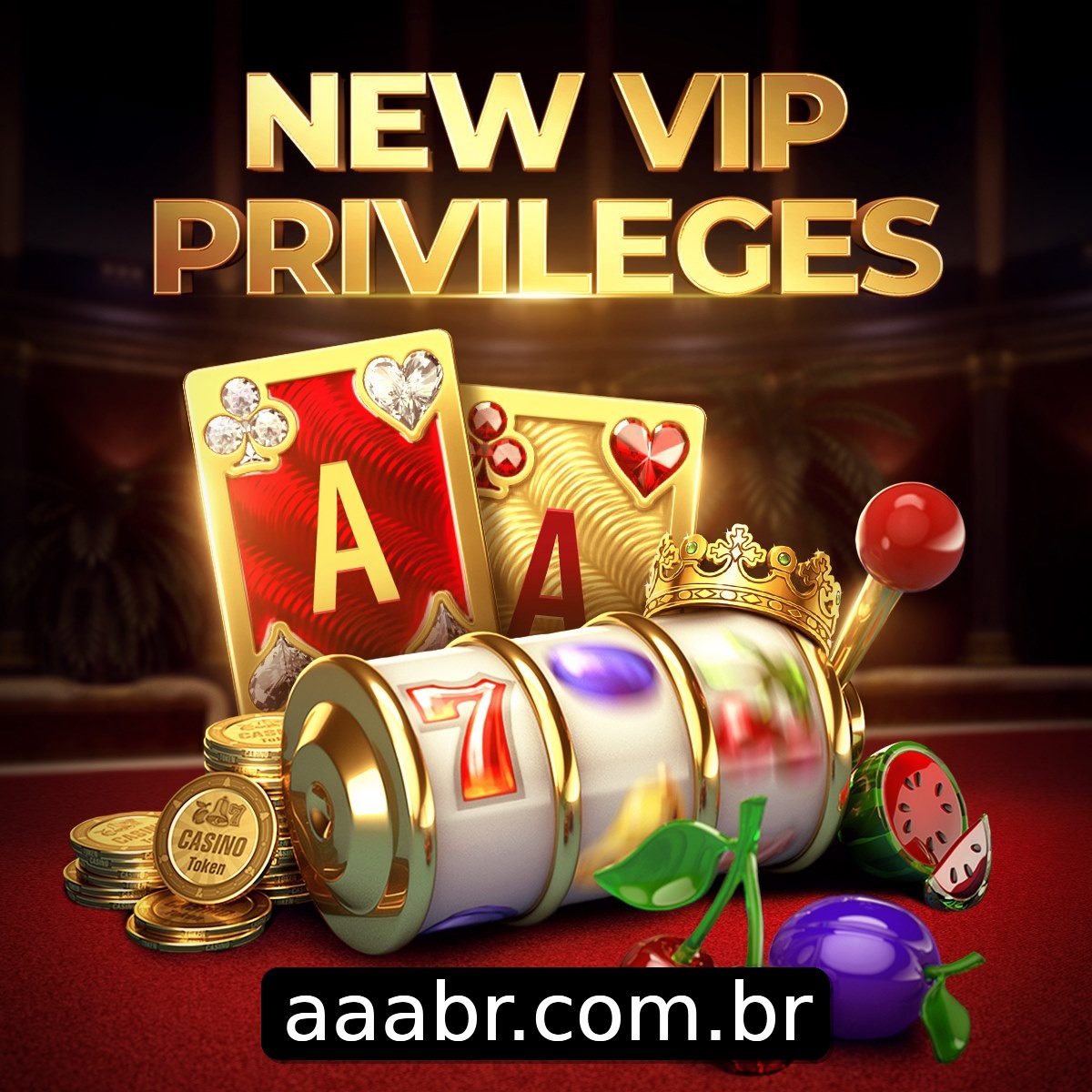 Programa VIP aaabr